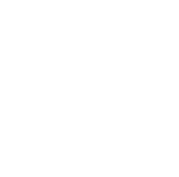 Personal Assistant Technologies logo